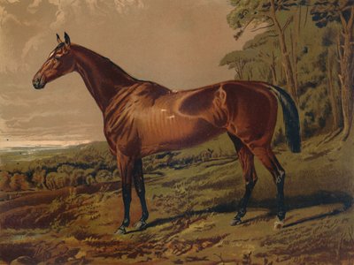 Fair Nell, 1879. tekijältä Unbekannt