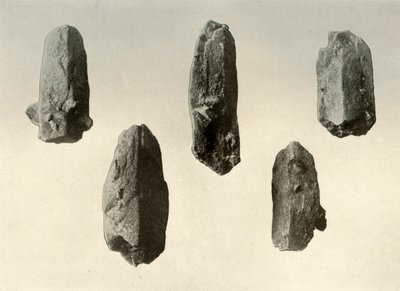 Maasälpäkristalleja Erebus-vuoren huipulta Natural Size, 1909 tekijältä Unbekannt