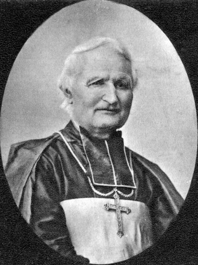 Felix Dupanloup, ranskalainen pappi, 1800-luku tekijältä Unbekannt