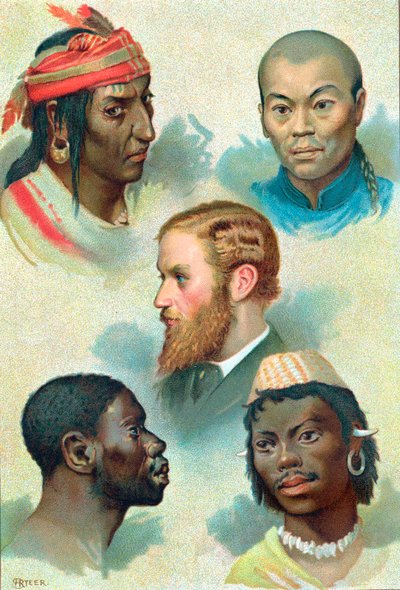 Viisi ihmiskuntatyyppiä, 1800-luvun loppu tekijältä Unbekannt
