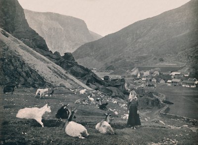Flaam, 1914. tekijältä Unbekannt