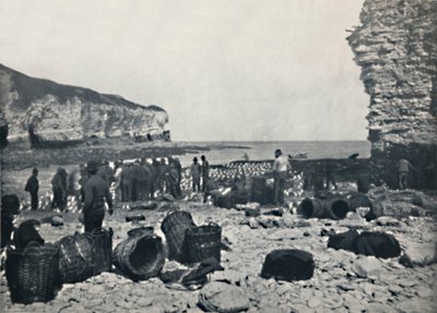Flamborough - Kalastajat töissä, 1895 tekijältä Unbekannt