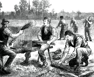 Pellavan aaltoilu, c1880 tekijältä Unbekannt