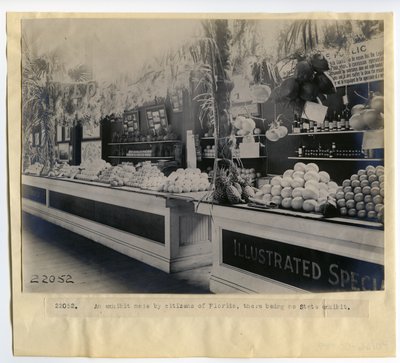 Floridan puutarhanäyttely puutarhanhoitopalatsissa vuoden 1904 maailmannäyttelyssä tekijältä Unbekannt