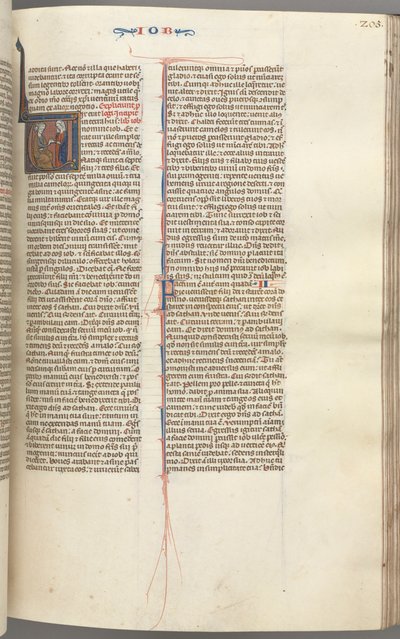 Fol. 205r, Job, historiallinen alkukirjain V, Job lantakasalla kultakorvakoru, n. 1275-1300. tekijältä Unbekannt