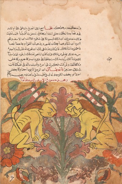 Folio Kalila wa Dimnasta, 1700-luku. tekijältä Unbekannt