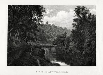 Forge Valley, Yorkshire, 1896 tekijältä Unbekannt