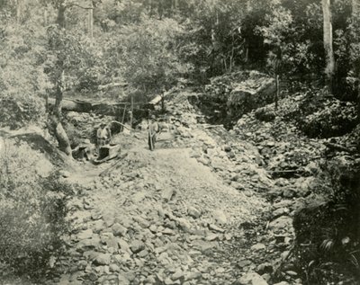Fossickers at Work, 1901. tekijältä Unbekannt