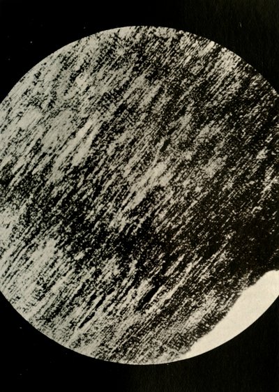 Fossiilinen puu hiekkakivessä, moreenista leveysasteella 85° etelään, c1908, 1909. tekijältä Unbekannt