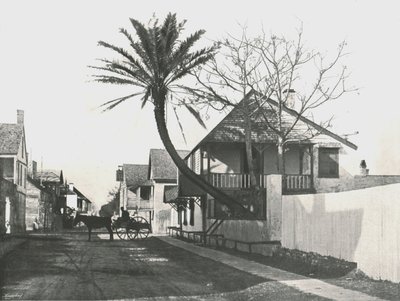 Francis Street, St Augustine, USA, 1895. tekijältä Unbekannt