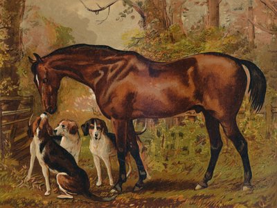 Vapaamuurari – edesmenneen Hugo Meynellin suosikkimetsästäjä Ingram Esq., n. 1879. tekijältä Unbekannt