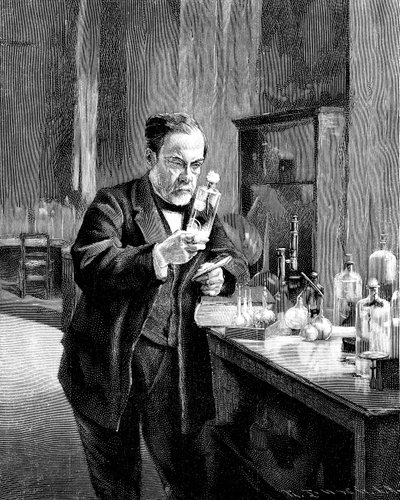 Ranskalainen kemisti ja mikrobiologi Louis Pasteur 18221895 tekijältä Unbekannt
