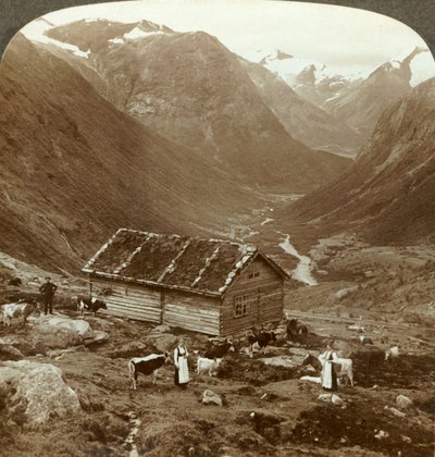 Vuorimajatalosta Vidde saeterissa alas Vidden laaksoon - Skaala-vuori oikealla etäisyydellä, n. 1905. tekijältä Unbekannt