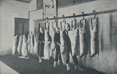 Pakastettu liha, 1910 tekijältä Unbekannt