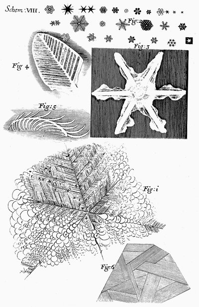 Englantilainen mikroskooppi Robert Hooke, 1665, katseli jäädytettyjä materiaaleja tekijältä Unbekannt