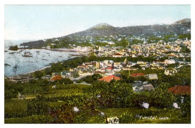 Funchal, Madeira, 1900-luvun alku tekijältä Unbekannt