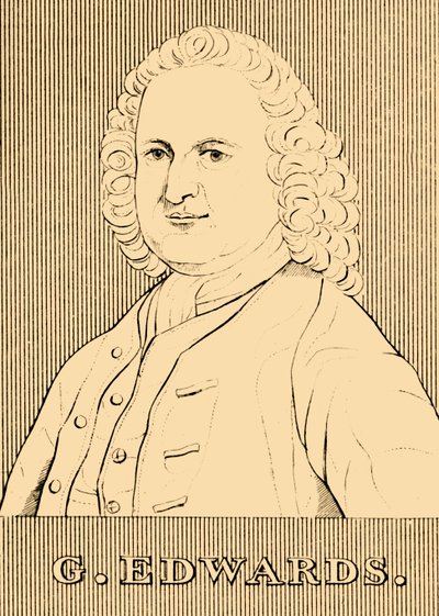 G. Edwards, 1694-1773, 1830. tekijältä Unbekannt