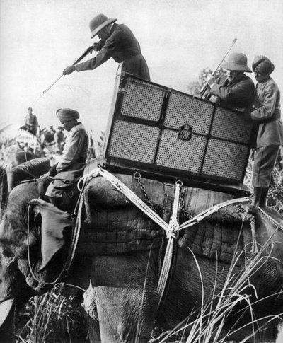 George V ampuu tiikereitä, Intia, 1911, 1935 tekijältä Unbekannt