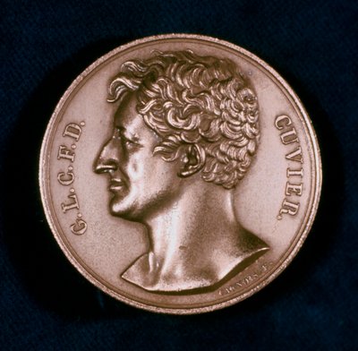 Georges Leopold Chretien Frederic Dagobert, paroni Cuvier, ranskalainen anatomi, 1800-luku tekijältä Unbekannt