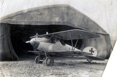 Saksalainen Albatros DV, Souilly, Ranska, 2. tammikuuta 1918 tekijältä Unbekannt