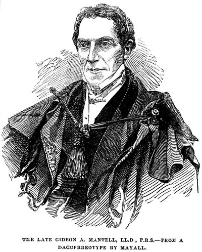 Gideon Algernon Mantell, englantilainen geologi, 1852 tekijältä Unbekannt