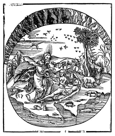 Jumala loi Eevan Aatamin kylkiluusta, 1508 tekijältä Unbekannt