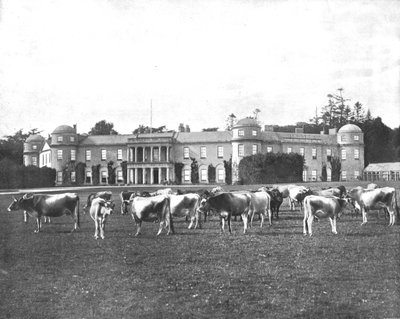 Goodwood, Hampshire, 1894. tekijältä Unbekannt