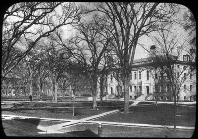 Harvard University, Cambridge, Massachusetts, USA, 1800-luvun loppu tai 1900-luvun alku tekijältä Unbekannt