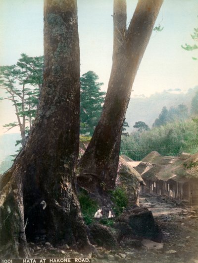 Hata Hakone Roadilla, Japanissa, 1900-luvun alku tekijältä Unbekannt