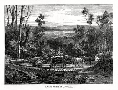 Puun kuljetus, Australia, 1877 tekijältä Unbekannt