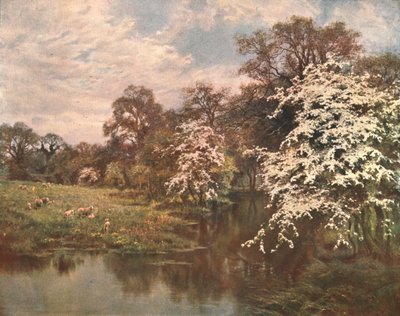 Hawthorn Blossoms, c1899, c1902. tekijältä Unbekannt
