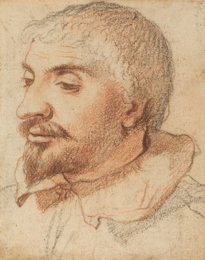 Miehen pää, c. 1600. tekijältä Unbekannt