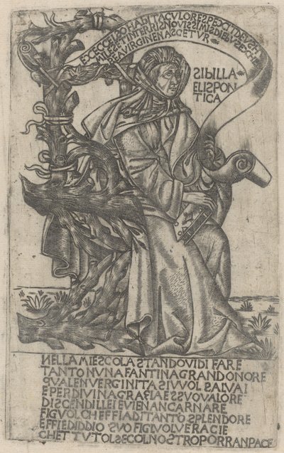 Hellespontine Sibyl, 1400-luvun alku. tekijältä Unbekannt