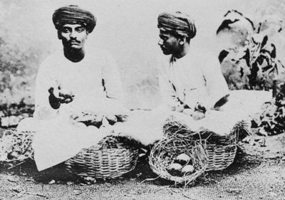 Hindu hedelmämyyjät, Intia, 1900-luku tekijältä Unbekannt