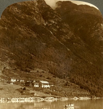 Hogrending maatila, untuvikko vuoren juurella, Loen-järven itärannalla, Norjassa, 1905. tekijältä Unbekannt