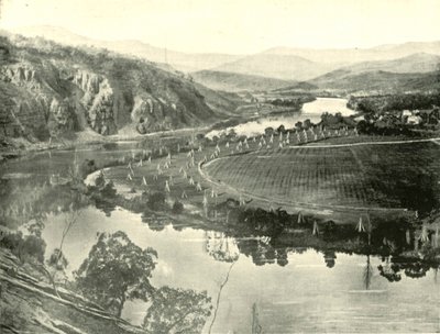 Hop Gardens Tasmaniassa, 1901. tekijältä Unbekannt