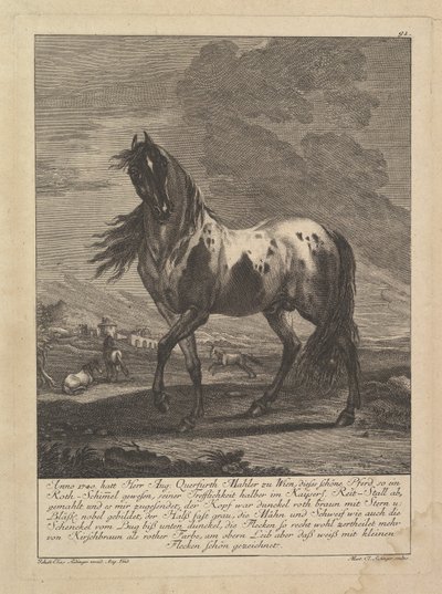 Hevonen, 1700-luku. tekijältä Unbekannt