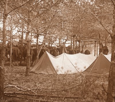 Horses billet, Suippes, Pohjois-Ranska, c1914-c1918 tekijältä Unbekannt