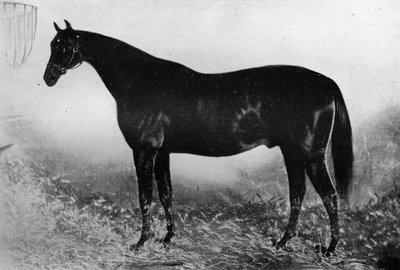Vieraanvaraisuus, 1800-luku, 1911 tekijältä Unbekannt