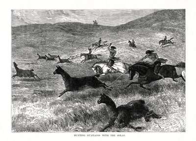 Guanakoiden metsästys bolojen kanssa, Etelä-Amerikka, 1877 tekijältä Unbekannt