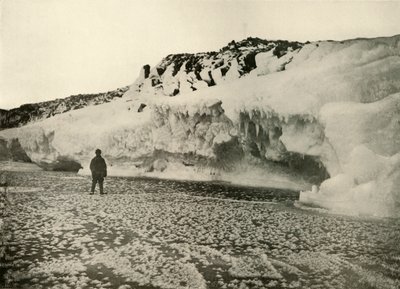 Jääkukat äskettäin muodostuneella merijäällä varhain talvella, c1908, 1909. tekijältä Unbekannt