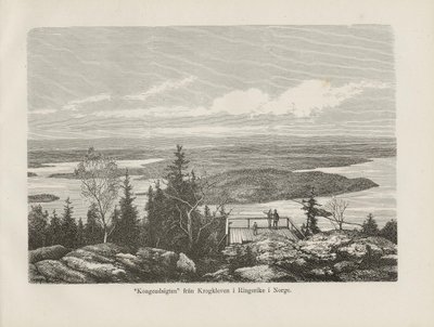 Kuvitus Nordka taflor av ukjent forfatter og utgitt av Albert Bonnier tekijältä Unbekannt