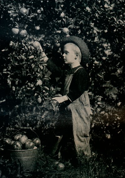 Yhdessä Ontaariosin hedelmäisessä hedelmätarhassa, vuodelta 1934 tekijältä Unbekannt