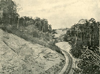 Blackall Rangesissa, 1901. tekijältä Unbekannt