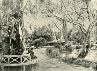 Kasvitieteellisessä puutarhassa, Adelaidessa, 1901. tekijältä Unbekannt