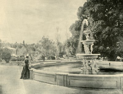Kasvitieteellisessä puutarhassa, Adelaidessa, 1901. tekijältä Unbekannt