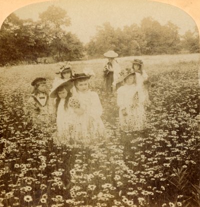 Daisy Fieldissä: Sweet Flowret of the Rural Glade, 1896. tekijältä Unbekannt