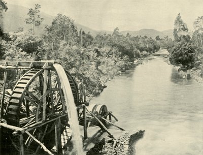 In the Ovens River, Germantown, 1901. tekijältä Unbekannt