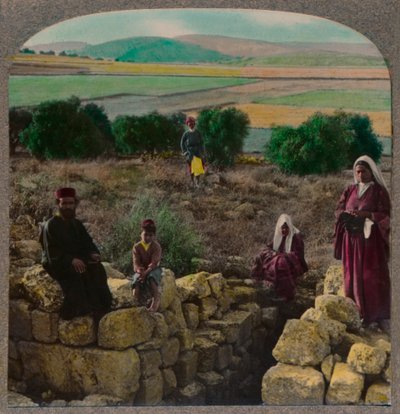 The Shepherds Field, Bethlehem, 1900 tekijältä Unbekannt