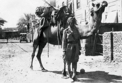 Intian kamellisoturi, Bagdad, 1918 tekijältä Unbekannt